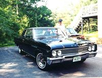 williams65skylarkgrandsport.jpg