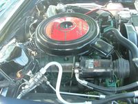 DSCF0052.JPG